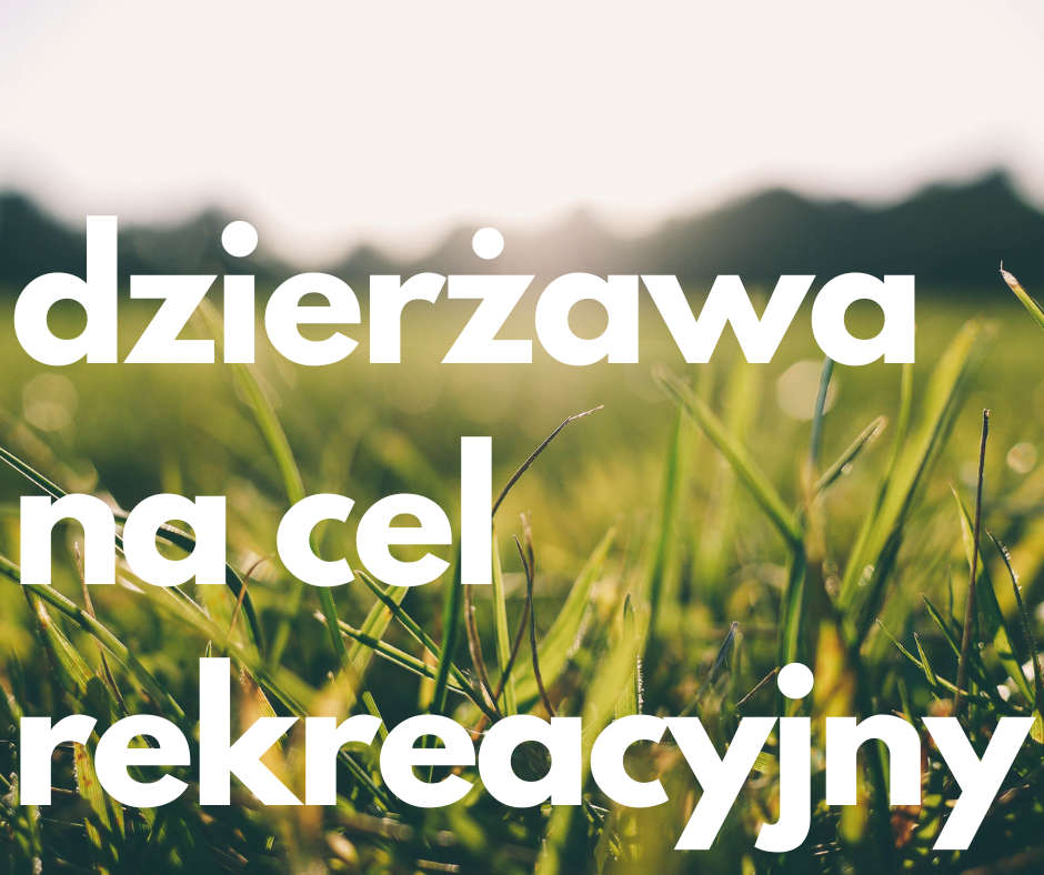 łąka w tle (mat. UM)